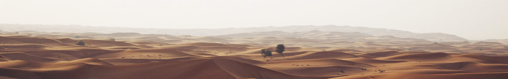 ǿŻеƼ޹˾